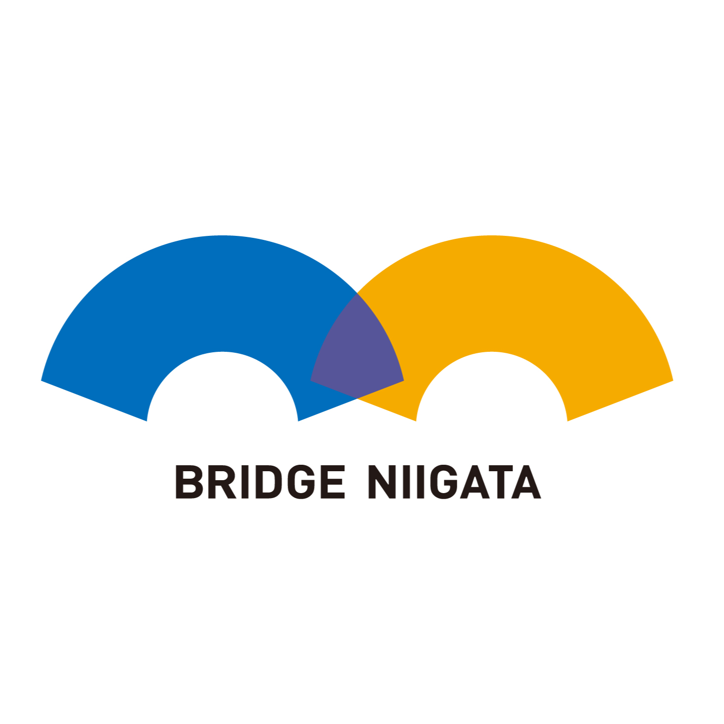 ブリッジにいがた